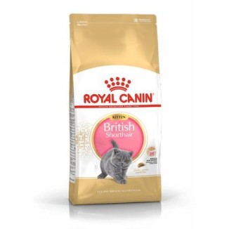 Royal Canin British Shorthair Kitten