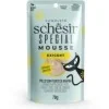 Schesir Special Exigent Mousse