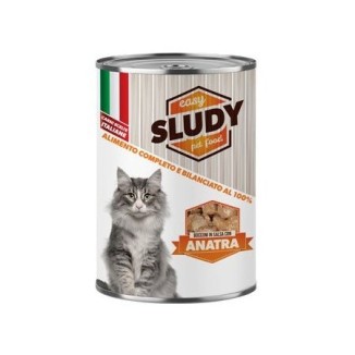 Sludy Bocconi per gatti (anatra)