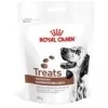 Royal CaninRoyal Canin Gatrointestinal Treats