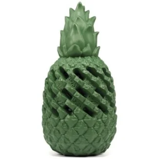 Record Ananas Power