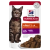 Hill'sHill's Science Plan feline Adult bocconcini al manzo