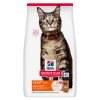 Hill'sHill's Science Plan feline Optimal Care all’agnello