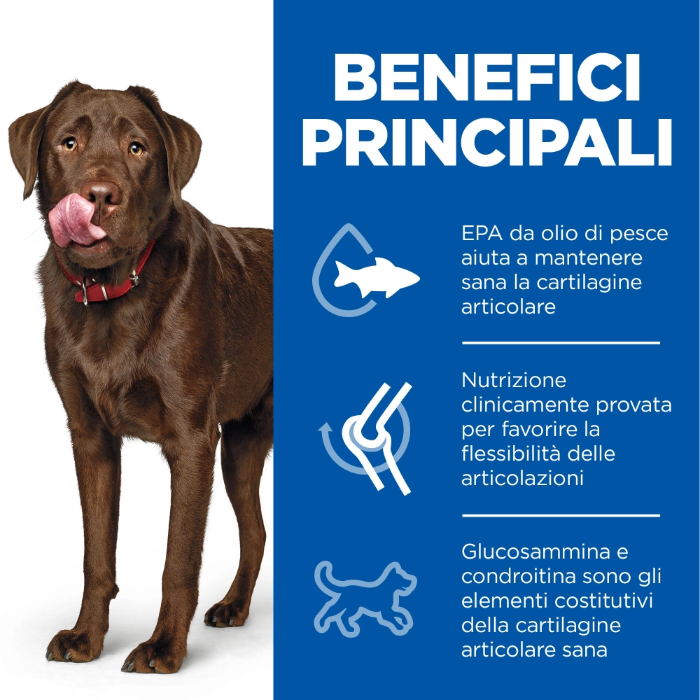 Hill'sHill's Science Plan Healthy Mobility large breed