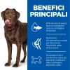Hill'sHill's Science Plan Healthy Mobility large breed