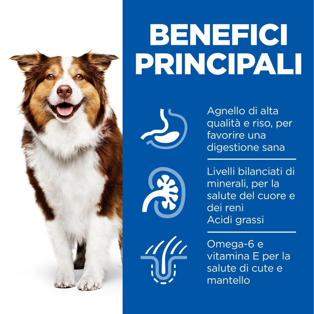 Hill'sHill's Science Plan Mature 7+ medium (agnello)