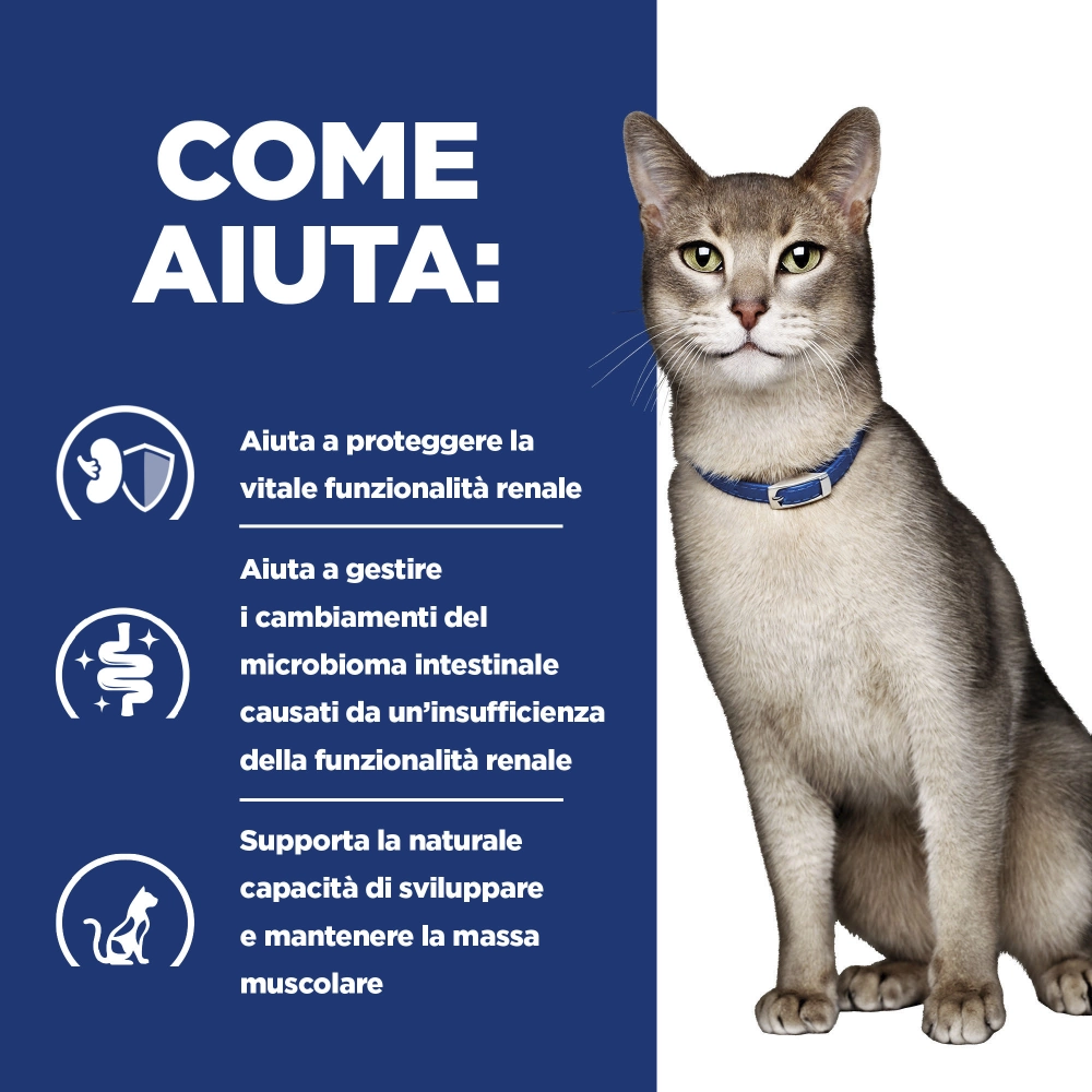 Hill'sHill's Prescription Diet k/d feline bocconcini al manzo