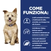 Hill'sHill's Prescription Diet k/d spezzatino per cani