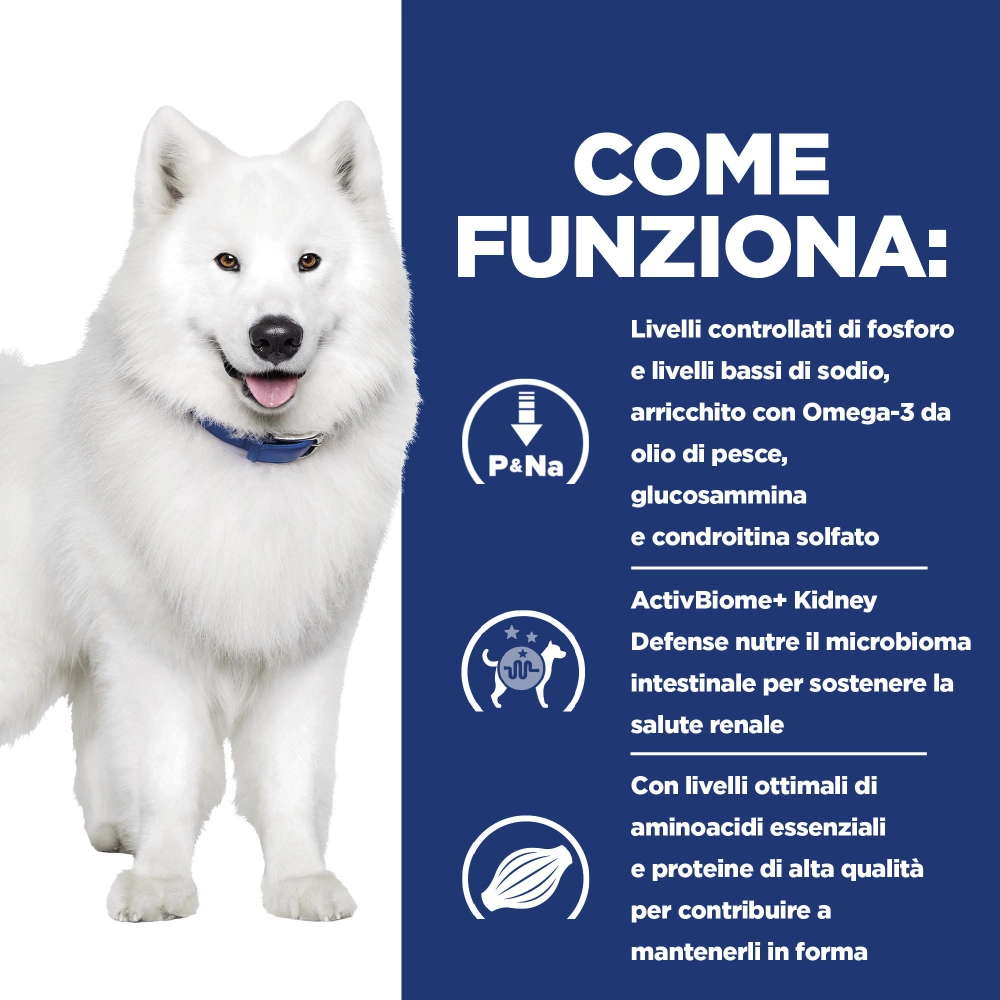Hill'sHill's Prescription Diet k/d + Mobility spezzatino per cani