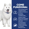 Hill'sHill's Prescription Diet k/d + Mobility spezzatino per cani