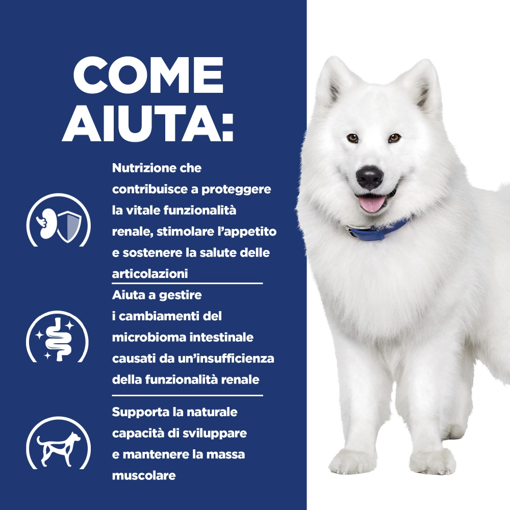 Hill'sHill's Prescription Diet k/d + Mobility spezzatino per cani