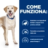 Hill'sHill's Prescription Diet d/d canine (anatra e riso)