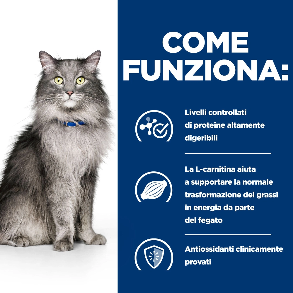 Hill'sHill's Prescription Diet l/d feline