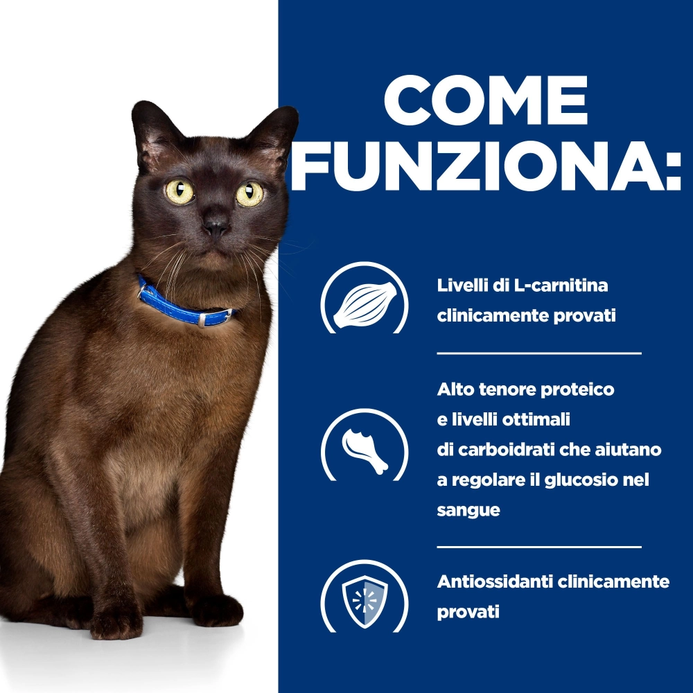 Hill'sHill's Prescription Diet m/d feline