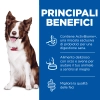 Hill'sHill's Science Plan Perfect Digestion Adult medium (pollo e riso)