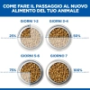 Hill'sHill's Science Plan Perfect Digestion Adult large (pollo e riso)