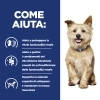 Hill'sHill's Prescription Diet k/d Mini spezzatino per cani