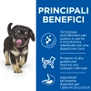 Hill'sHill's Science Plan Perfect Digestion Puppy medium (pollo e riso)