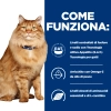 Hill'sHill's Prescription Diet k/d + Mobility feline bocconcini pollo