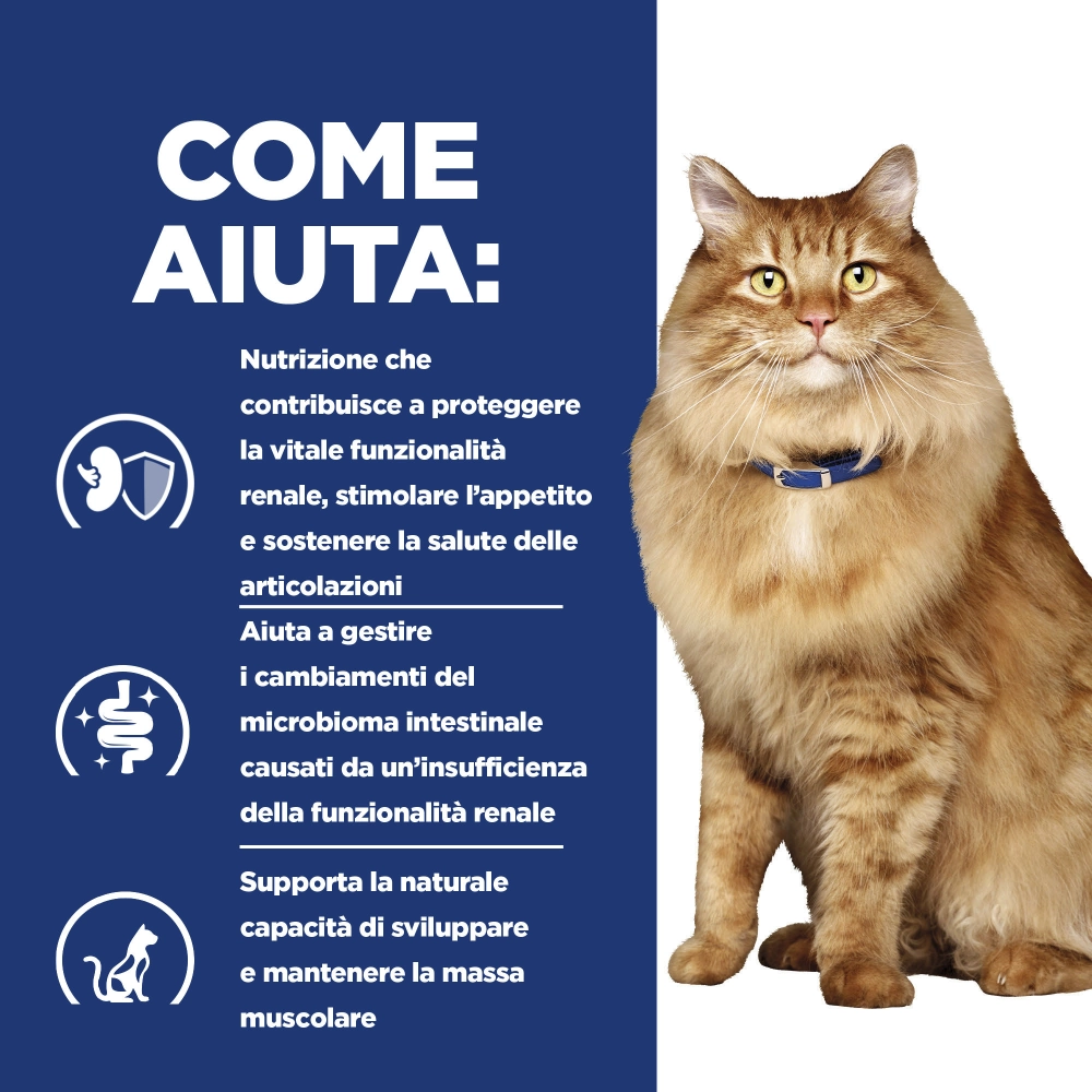 Hill'sHill's Prescription Diet k/d + Mobility feline bocconcini pollo