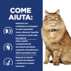 Hill'sHill's Prescription Diet k/d + Mobility feline bocconcini pollo