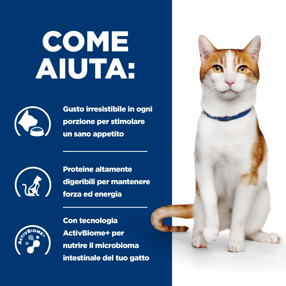 Hill'sHill's Prescription Diet on-care umido feline