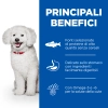 Hill'sHill's Science Plan Hypoallergenic Adult small & mini (salmone)