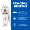 Hill'sHill's Science Plan Hypoallergenic Adult medium (salmone)