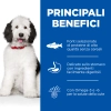 Hill'sHill's Science Plan Hypoallergenic Adult large (salmone)