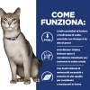 Hill'sHill's Prescription Diet k/d feline umido (spezzatino)