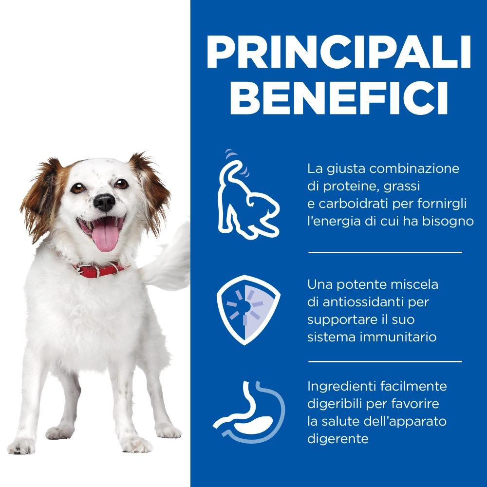 Hill'sHill's Science Plan Adult small & mini mousse al manzo