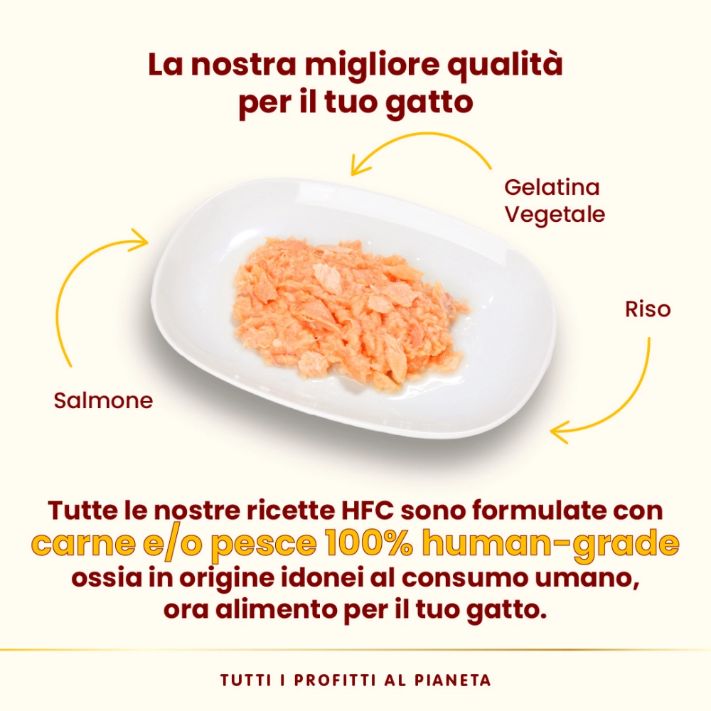 Almo NatureAlmo Nature HFC Jelly (salmone)