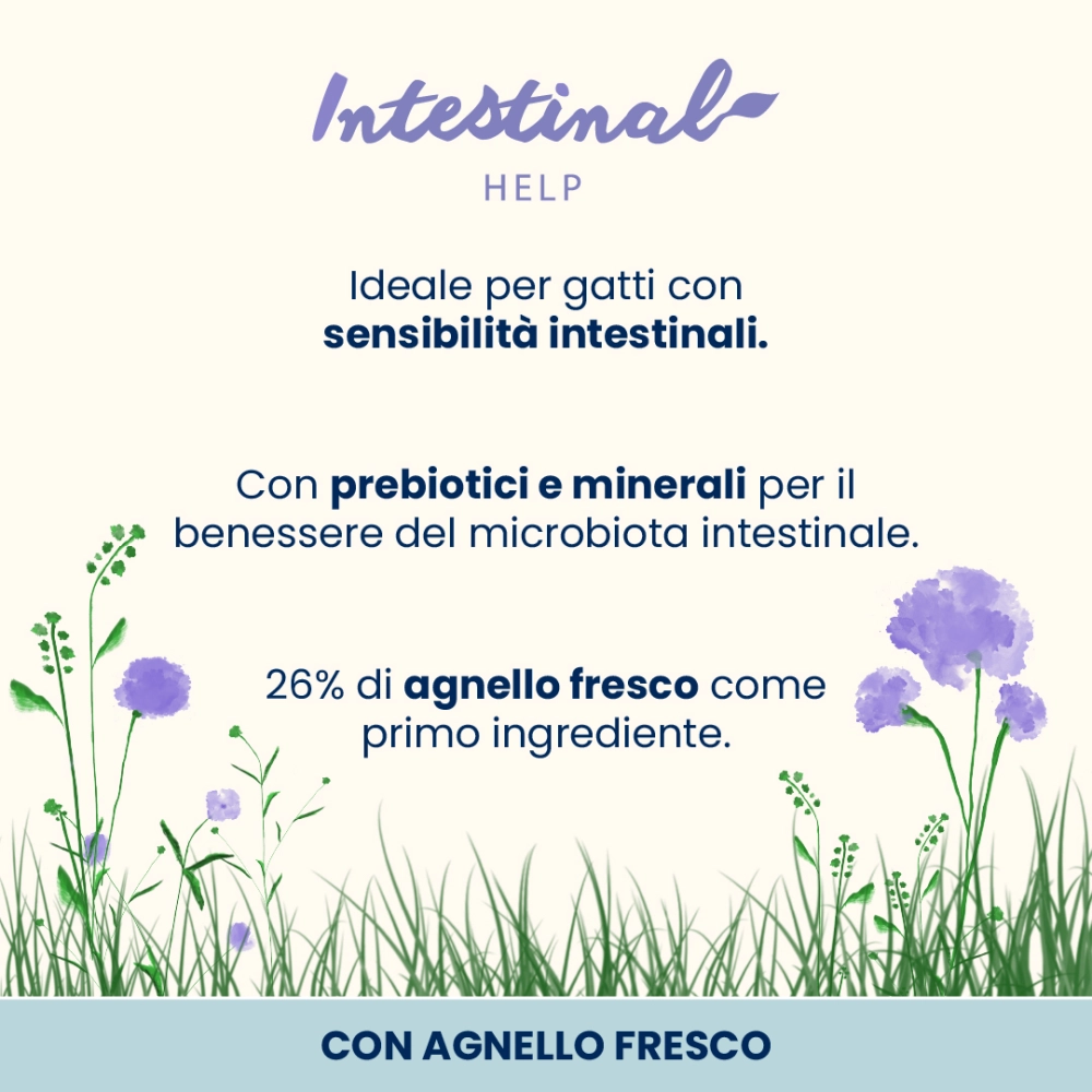 Almo NatureAlmo Nature Holistic Digestive Help (agnello)