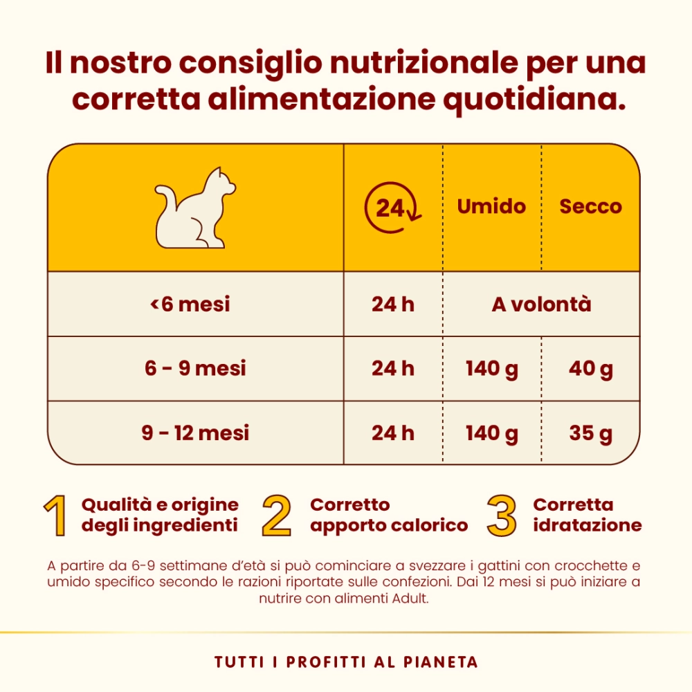 Almo NatureAlmo Nature HFC Kitten (salmone e tonno)