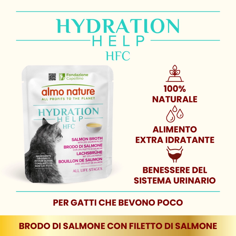 Almo NatureAlmo Nature Hydration Help (brodo di salmone con filetti di salmone)
