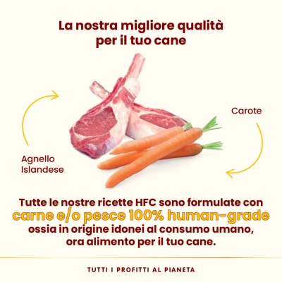 Almo NatureAlmo Nature HFC Complete per cani (agnello islandese con carote)