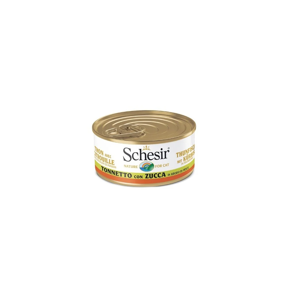 Schesir in brodo (tonno e zucca)