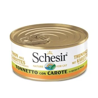 Schesir in brodo (tonno e carote)
