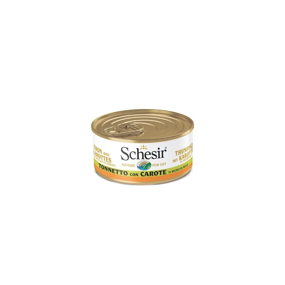 Schesir in brodo (tonno e carote)