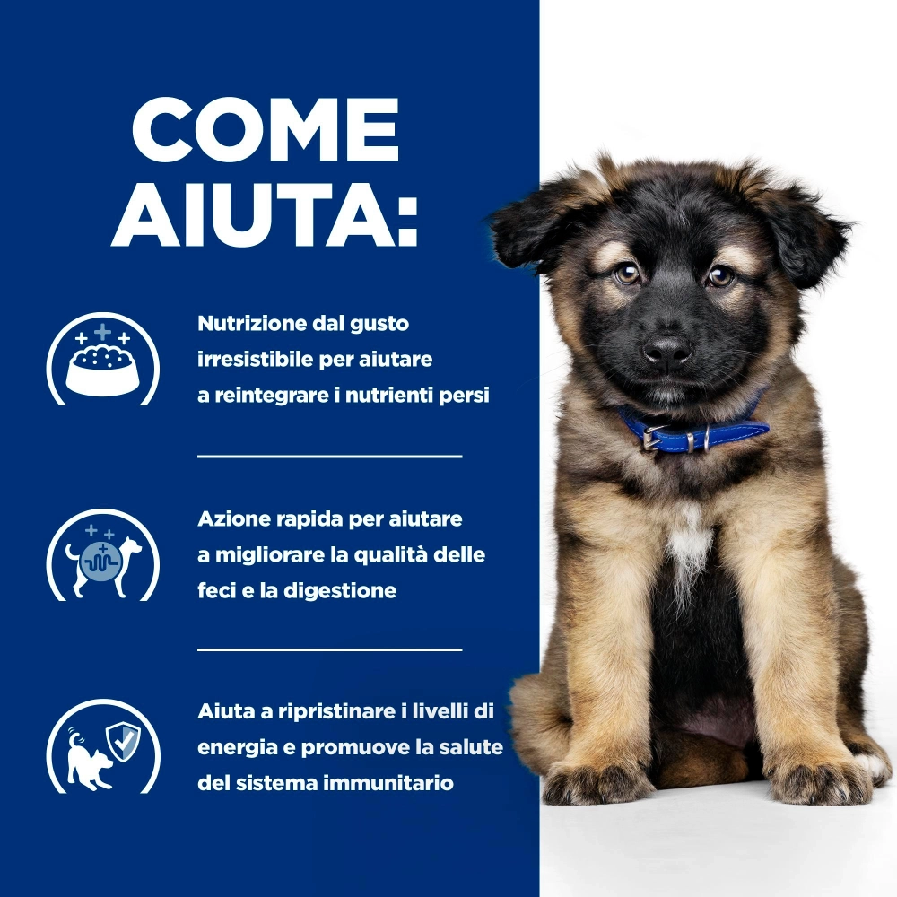 Hill's Prescription Diet i/d Puppy (pollo)