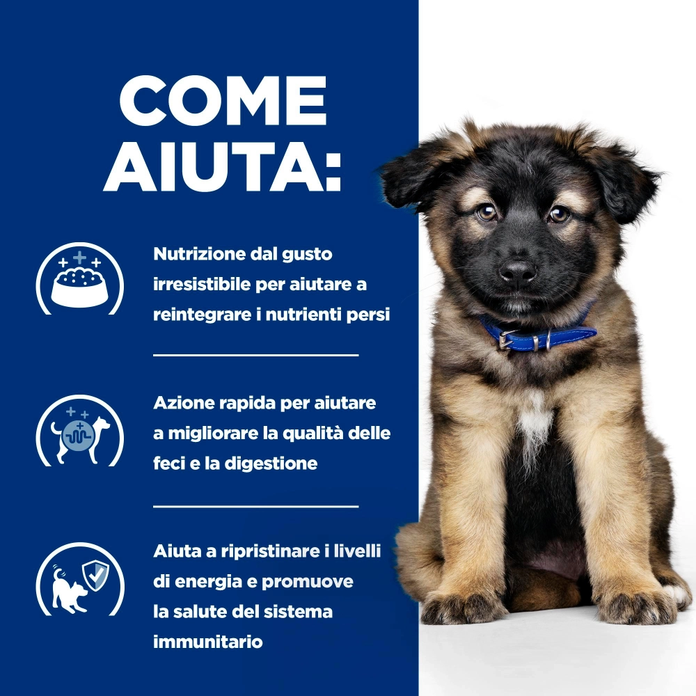 Hill's Prescription Diet i/d Puppy umido (pollo)