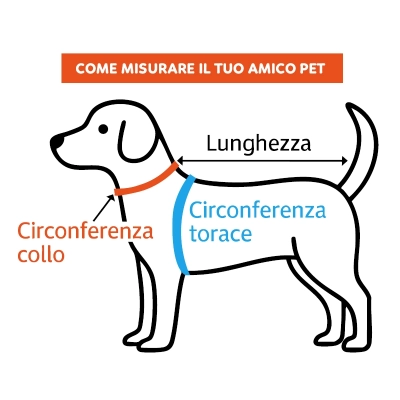 CamonCamon Calzini antiscivolo per cani