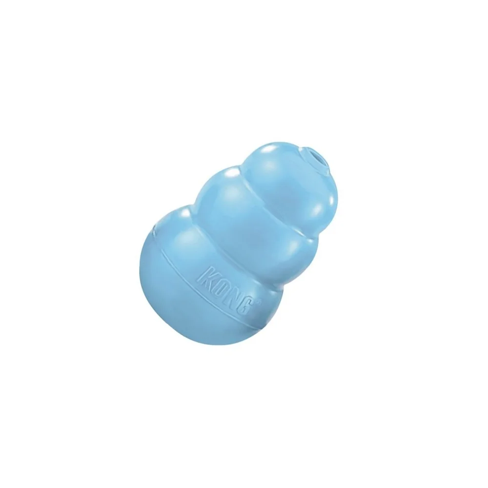 KongKong Puppy