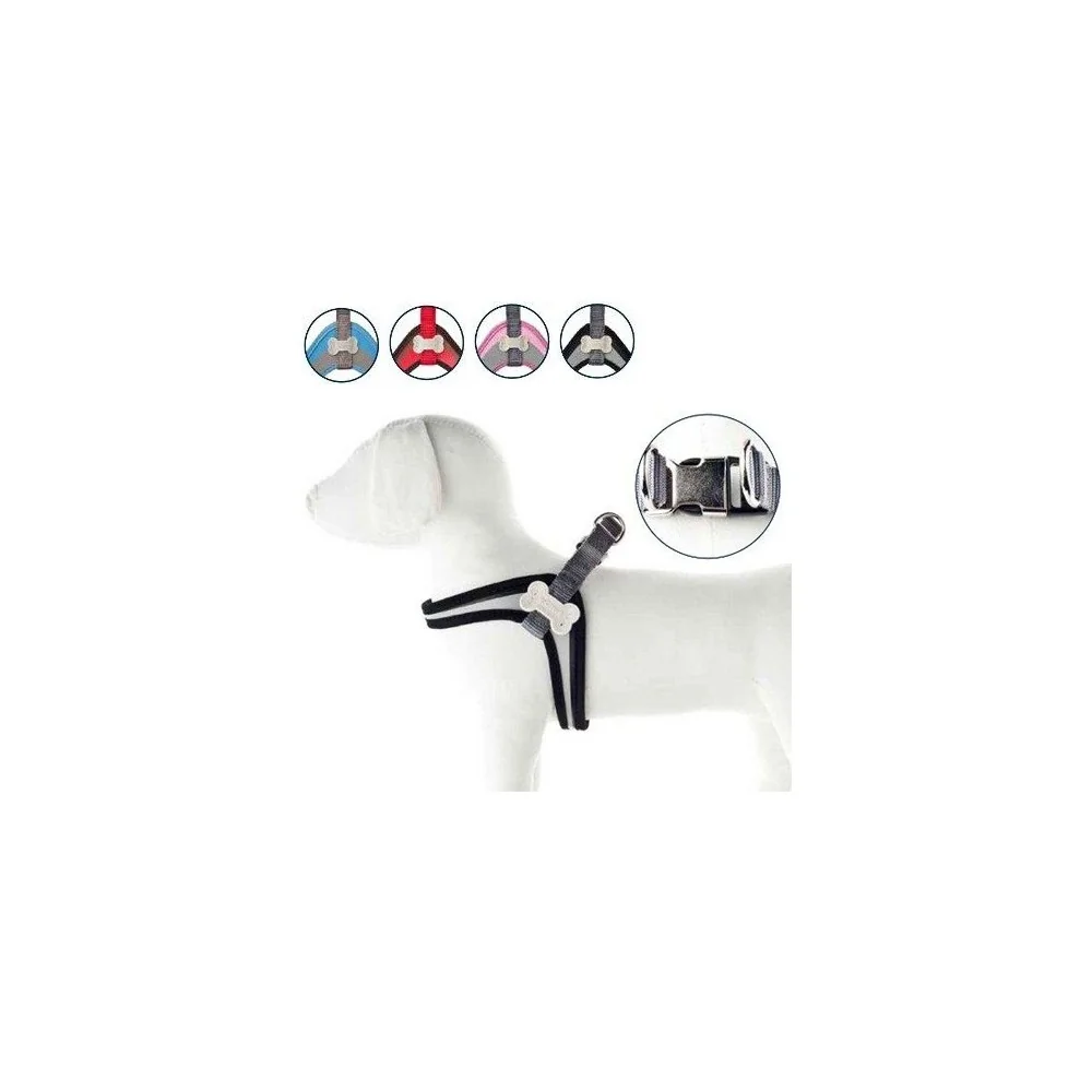 FerribiellaFerribiella pettorina Coco