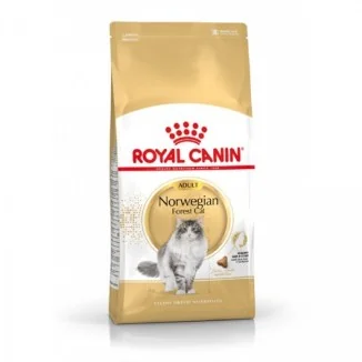 Royal Canin Norwegian Forest Cat