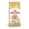 Royal CaninRoyal Canin Norwegian Forest Cat