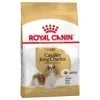 Royal CaninRoyal Canin Cavalier King Charles Adult