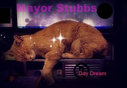 Alaska, addio al gatto-sindaco Stubbs