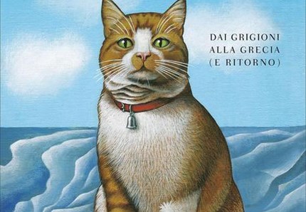 Storia di un gatto viaggiatore