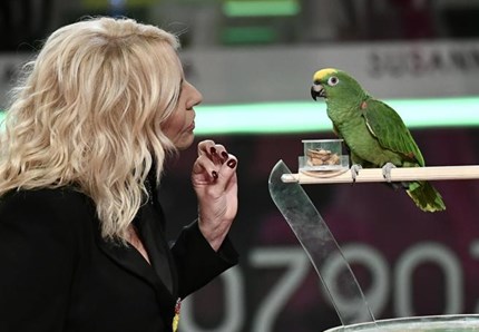 Animalisti contro Antonella Clerici